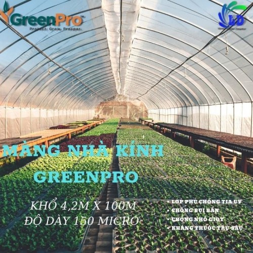 Màng Nhà Kính GreenPro 7 lớp khổ 4.2*100*150mic